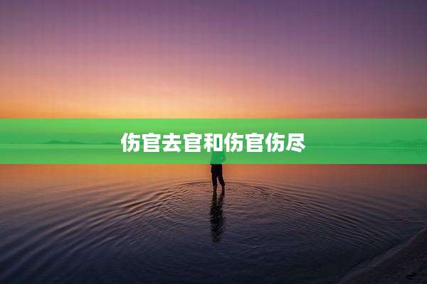 伤官去官和伤官伤尽