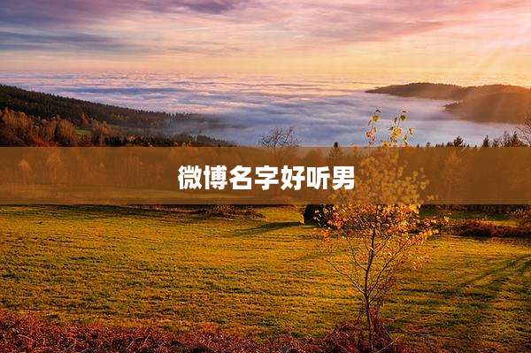 微博名字好听男