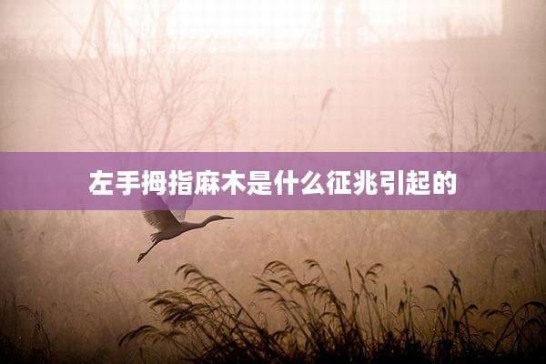 左手拇指麻木是什么征兆引起的