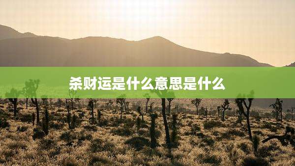 杀财运是什么意思是什么
