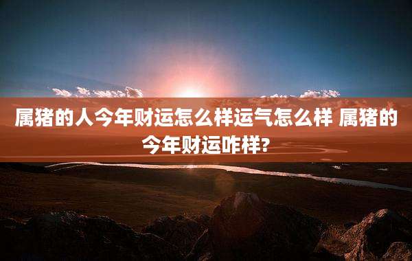 属猪的人今年财运怎么样运气怎么样 属猪的今年财运咋样?