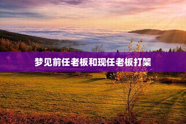 梦见前任老板和现任老板打架