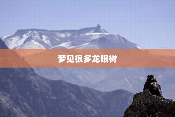 梦见很多龙眼树