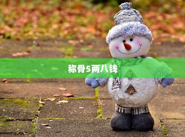 称骨5两八钱