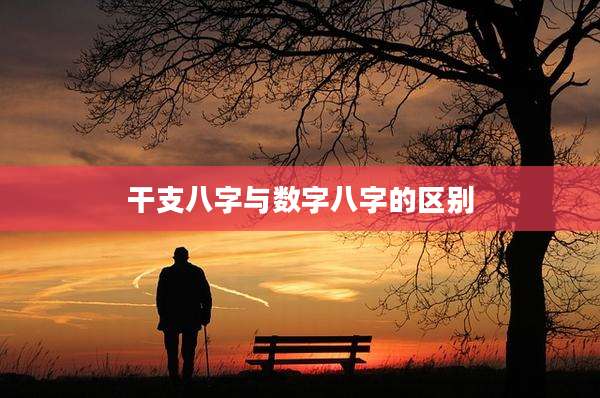 干支八字与数字八字的区别