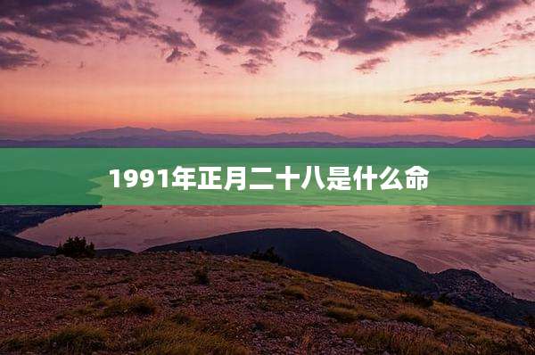 1991年正月二十八是什么命