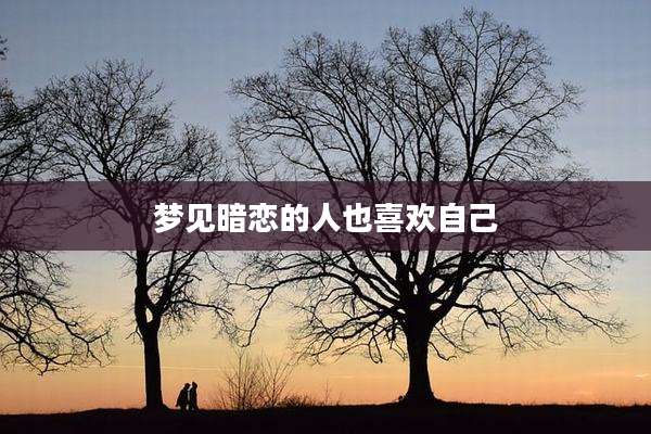 梦见暗恋的人也喜欢自己
