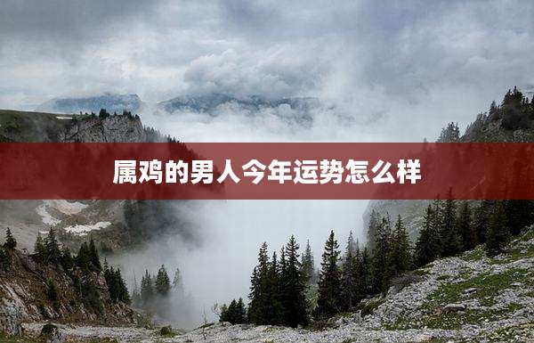 属鸡的男人今年运势怎么样