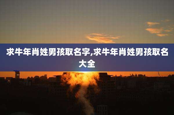 求牛年肖姓男孩取名字,求牛年肖姓男孩取名大全