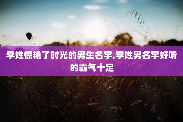 李姓惊艳了时光的男生名字,李姓男名字好听的霸气十足