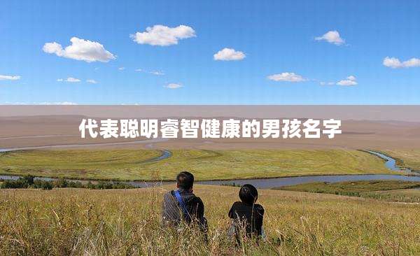 代表聪明睿智健康的男孩名字