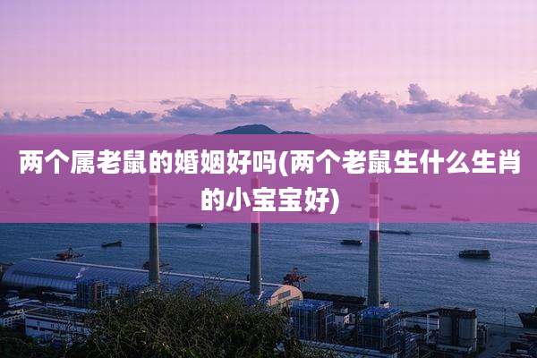 两个属老鼠的婚姻好吗(两个老鼠生什么生肖的小宝宝好)