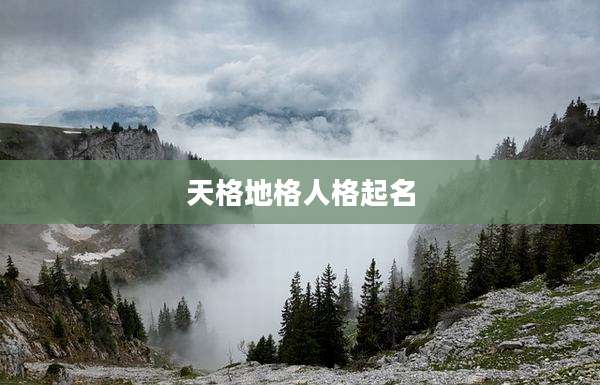 天格地格人格起名