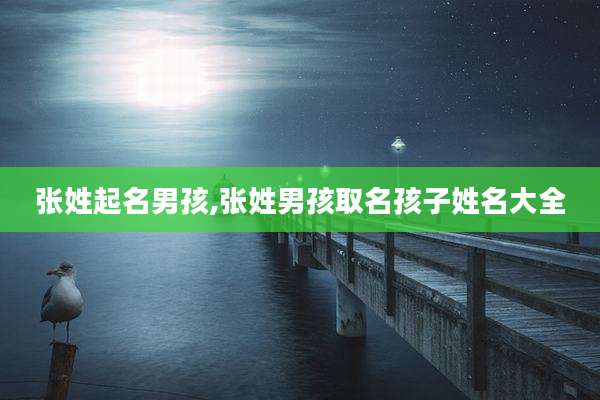 张姓起名男孩,张姓男孩取名孩子姓名大全