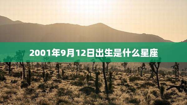 2001年9月12日出生是什么星座