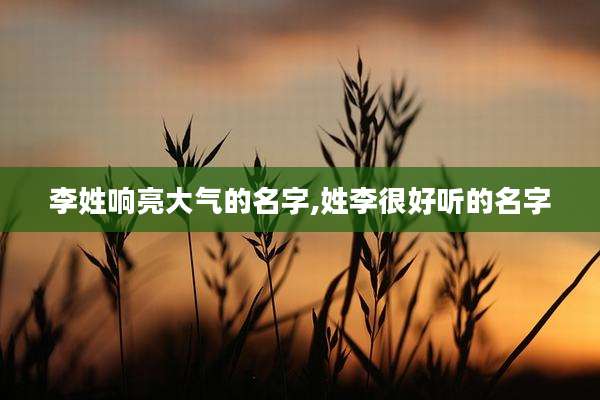 李姓响亮大气的名字,姓李很好听的名字