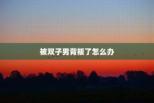 被双子男背叛了怎么办