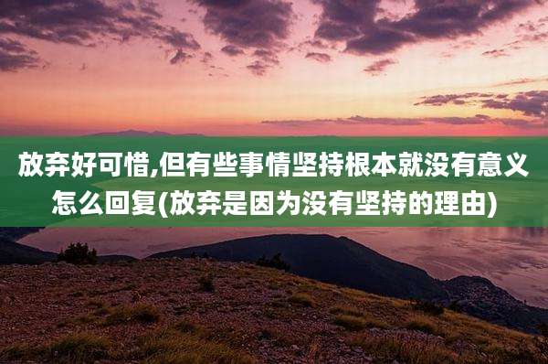 放弃好可惜,但有些事情坚持根本就没有意义怎么回复(放弃是因为没有坚持的理由)