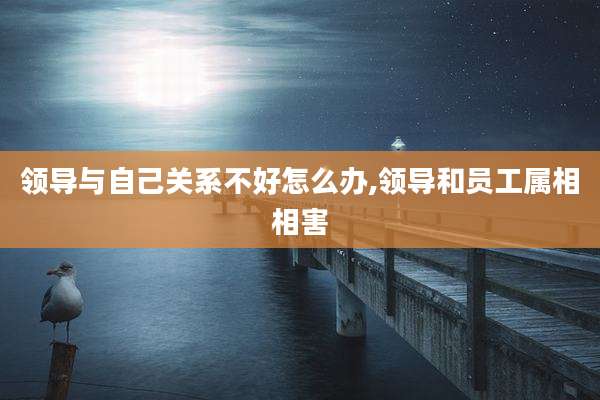 领导与自己关系不好怎么办,领导和员工属相相害