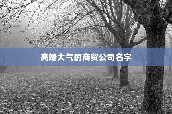 高端大气的商贸公司名字