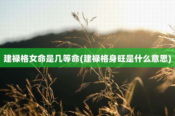 建禄格女命是几等命(建禄格身旺是什么意思)