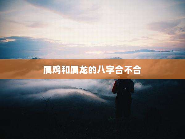 属鸡和属龙的八字合不合