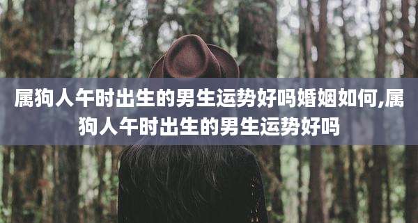 属狗人午时出生的男生运势好吗婚姻如何,属狗人午时出生的男生运势好吗