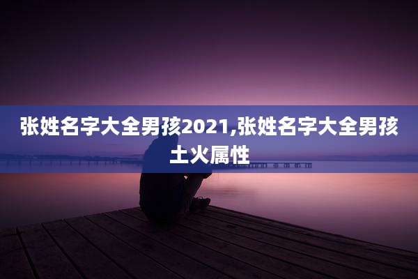 张姓名字大全男孩2021,张姓名字大全男孩土火属性