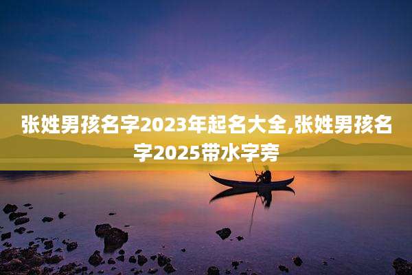 张姓男孩名字2023年起名大全,张姓男孩名字2025带水字旁
