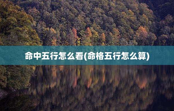 命中五行怎么看(命格五行怎么算)