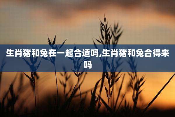 生肖猪和兔在一起合适吗,生肖猪和兔合得来吗