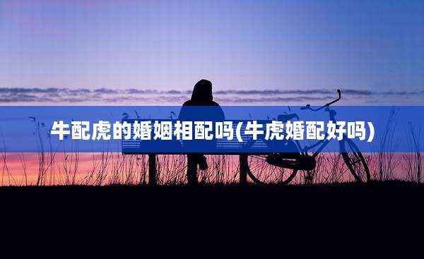 牛配虎的婚姻相配吗(牛虎婚配好吗)
