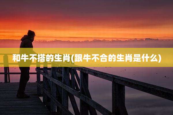 和牛不搭的生肖(跟牛不合的生肖是什么)