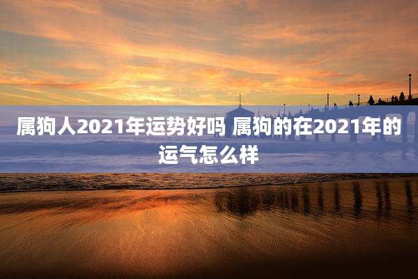 属狗人2021年运势好吗 属狗的在2021年的运气怎么样