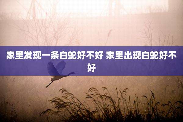 家里发现一条白蛇好不好 家里出现白蛇好不好