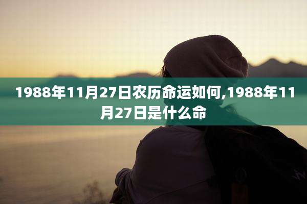 1988年11月27日农历命运如何,1988年11月27日是什么命
