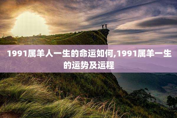1991属羊人一生的命运如何,1991属羊一生的运势及运程