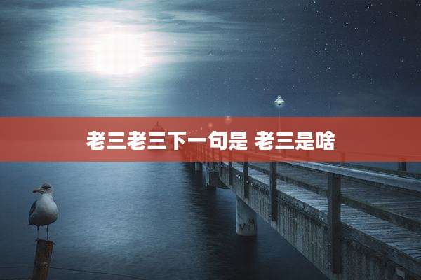 老三老三下一句是 老三是啥