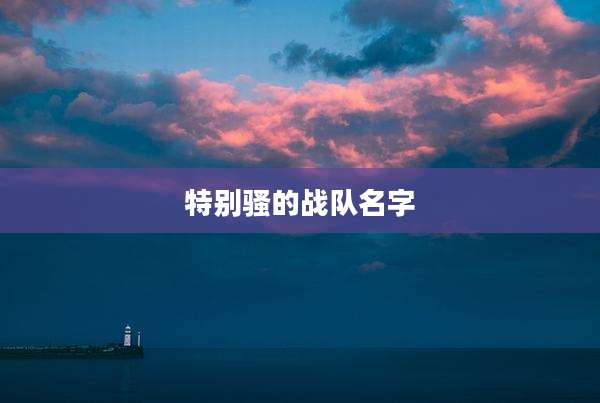 特别骚的战队名字