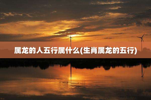 属龙的人五行属什么(生肖属龙的五行)