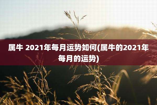 属牛 2021年每月运势如何(属牛的2021年每月的运势)