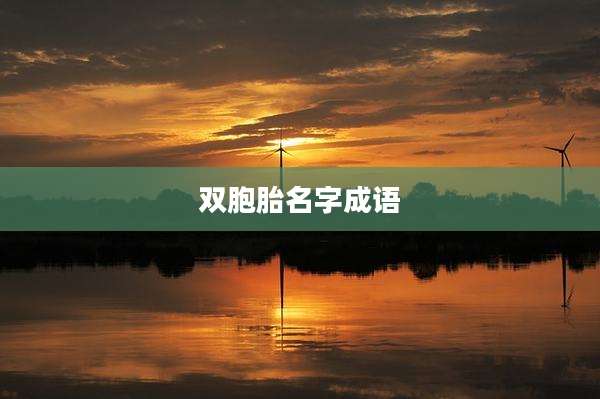 双胞胎名字成语