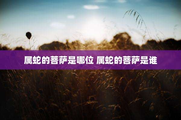 属蛇的菩萨是哪位 属蛇的菩萨是谁
