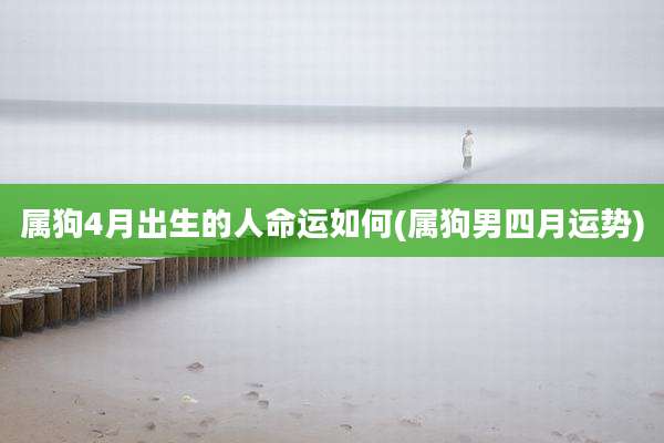 属狗4月出生的人命运如何(属狗男四月运势)
