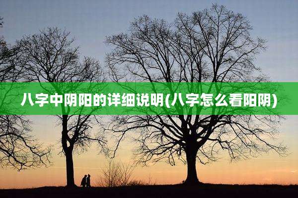八字中阴阳的详细说明(八字怎么看阳阴)
