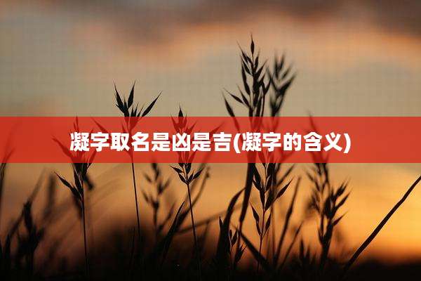 凝字取名是凶是吉(凝字的含义)