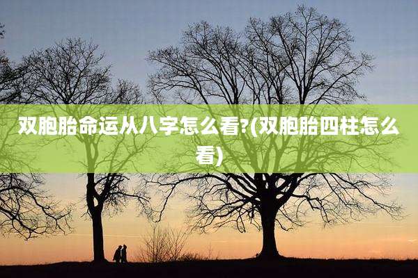 双胞胎命运从八字怎么看?(双胞胎四柱怎么看)