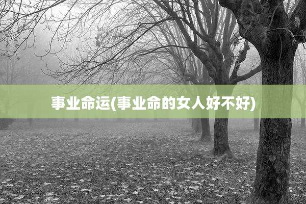 事业命运(事业命的女人好不好)