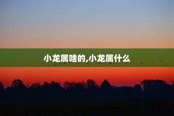 小龙属啥的,小龙属什么