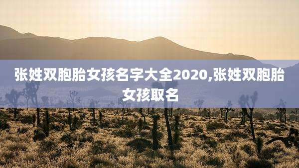张姓双胞胎女孩名字大全2020,张姓双胞胎女孩取名
